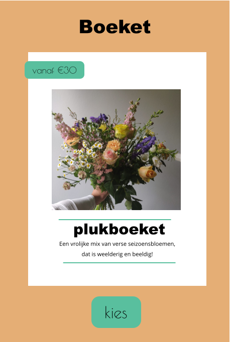 kies Boeket  vanaf €30 plukboeket Een vrolijke mix van verse seizoensbloemen, dat is weelderig en beeldig!