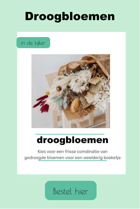 Bestel hier Droogbloemen in de kijker droogbloemen Kies voor een frisse comdinatie van gedroogde bloemen voor een weelderig boeketje