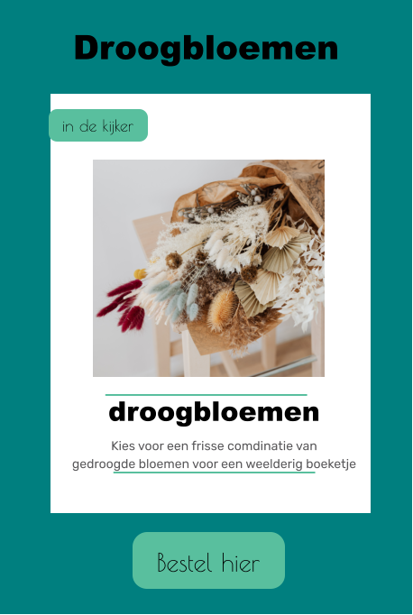Bestel hier Droogbloemen in de kijker droogbloemen Kies voor een frisse comdinatie van gedroogde bloemen voor een weelderig boeketje